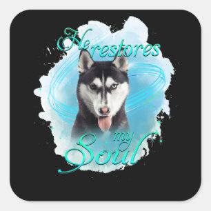 Hund Sibirischer Husky-Hund restauriert mein Sou Quadratischer Aufkleber