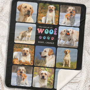 Hund Sie hatten mich bei WOOF Custom 11 Picture Co Sherpadecke