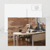 Hund sitzend am Schreibtisch Postkarte (Vorne/Hinten)