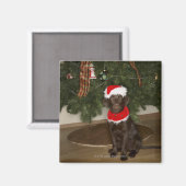 Hund sitzend an einem Weihnachtsbaum Magnet (Vorderseite/Rückseite)