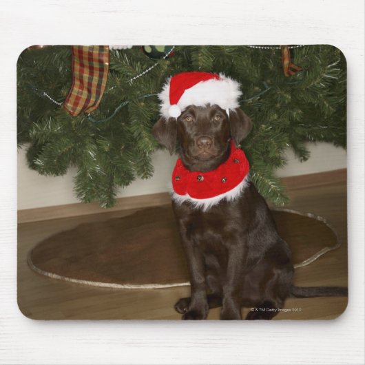 Hund sitzend an einem Weihnachtsbaum Mousepad (Vorne)