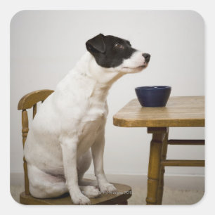 Hund sitzend auf einem Stuhl vor einer Schüssel au Quadratischer Aufkleber