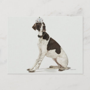 Hund sitzend mit einem Tiara auf dem Kopf Postkarte