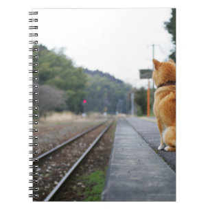 Hund sitzt am Bahnhof Notizblock