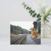 Hund sitzt am Bahnhof Postkarte (Stehend Vorderseite)