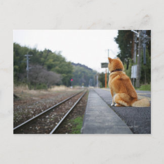 Hund sitzt am Bahnhof Postkarte