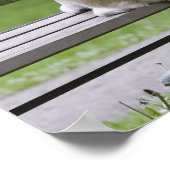 Hund sitzt auf Parkbank Poster (Ecke)