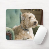 Hund sitzt im Sessel Mousepad (Mit Mouse)