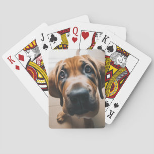 Hund Spielkarten
