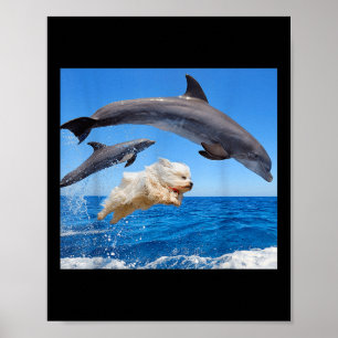 Hund springt mit Delfin für Männer Frauen Poster