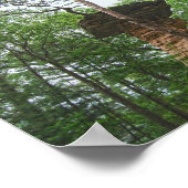 Hund springt vom Stand Rock in Wisconsin Dells Poster (Ecke)