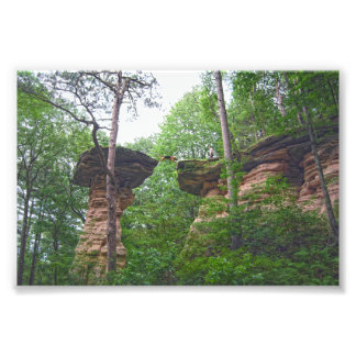 Hund springt von Stand Rock in Wisconsin Dells Fotodruck