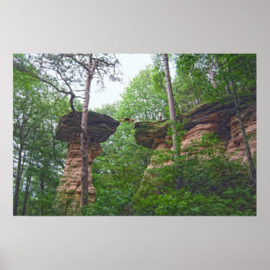 Hund springt von Stand Rock in Wisconsin Dells Poster
