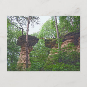 Hund springt von Stand Rock in Wisconsin Dells Postkarte