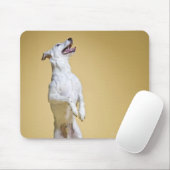 Hund stehend an Hinterbeinen Mousepad (Mit Mouse)