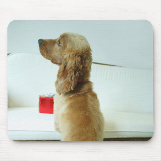 Hund stehend auf einem Sofa mit Geschenk Mousepad (Vorne)