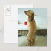 Hund stehend auf einem Sofa mit Geschenk Postkarte (Vorne/Hinten)