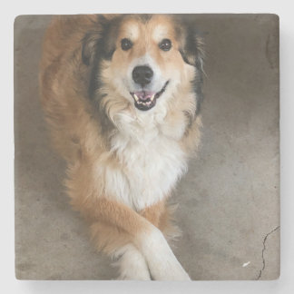 Hund Steinuntersetzer
