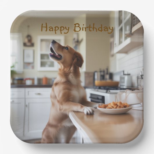 Hund stiehlt Essen Pappteller (Vorderseite)