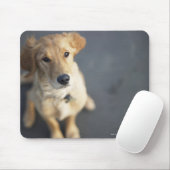 Hund sucht nach oben mousepad (Mit Mouse)