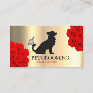 Hund Tier Haustier Logo Tierklinik Tierpflege Visitenkarte