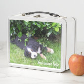 Hund, Tier, Lunchbox, Case, buntes+ Handwerk, Metall Lunch Box (Beispiel)
