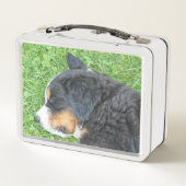 Hund, Tier, Lunchbox, Case, buntes+ Handwerk, Metall Lunch Box (Rückseite)