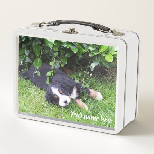 Hund, Tier, Lunchbox, Case, buntes+ Handwerk, Metall Lunch Box (Vorderseite)