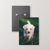 Hund, Tier, Welpe Button (Vorderseite/Rückseite)