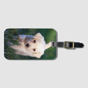 Hund, Tier, Welpe Gepäckanhänger