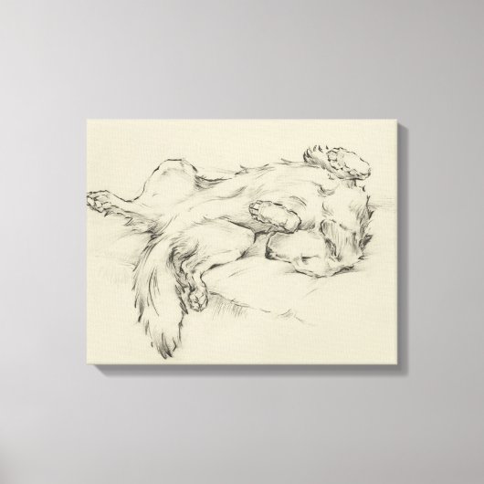 Hund Tired Leinwanddruck (Vorderseite)