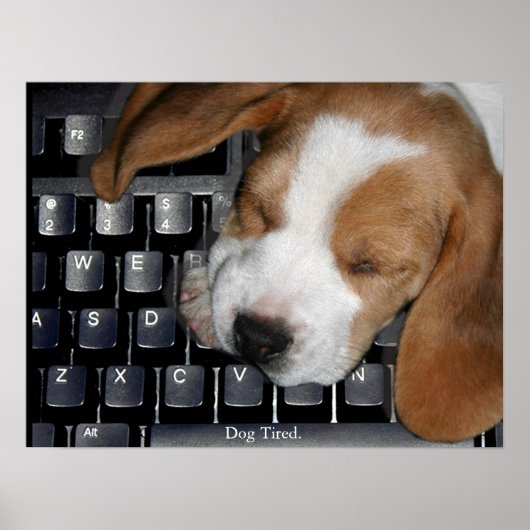 Hund Tired Poster (Vorne)