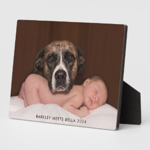 Hund trifft neues Baby Fotoplatte