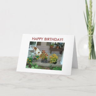 Hund u. Blumen auf dem Portal, ALLES GUTE ZUM Karte