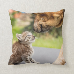 Hund u. Katze Getty Bild-  in der Liebe Kissen