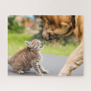 Hund u. Katze Getty Bild- in der Liebe Puzzle