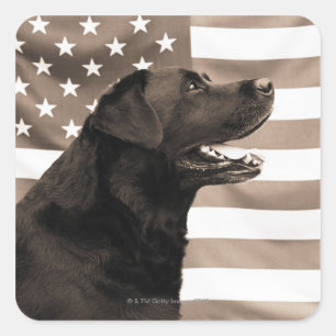 Hund und amerikanische Flagge Quadratischer Aufkleber