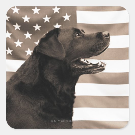 Hund und amerikanische Flagge Quadratischer Aufkleber (Vorderseite)
