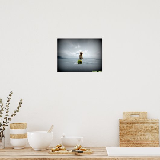 Hund und Ball Poster (Küche)