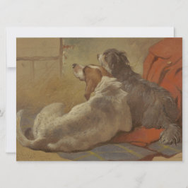 Hund und Bartollie (zwei Hunde) (Tiere) Karte