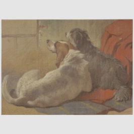Hund und Bartollie (zwei Hunde) (Tiere) Seidenpapier