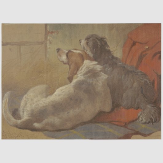 Hund und Bartollie (zwei Hunde) (Tiere) Seidenpapier (Vorderseite)