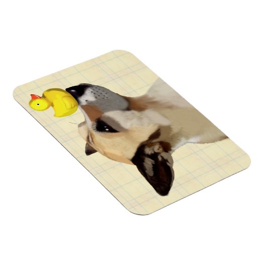 Hund und Ente Magnet (Rechte Seite)