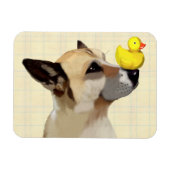 Hund und Ente Magnet (Horizontal)