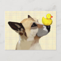 Hund und Ente