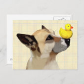 Hund und Ente Postkarte (Vorne/Hinten)