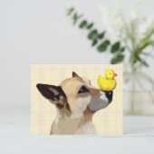 Hund und Ente Postkarte (Stehend Vorderseite)