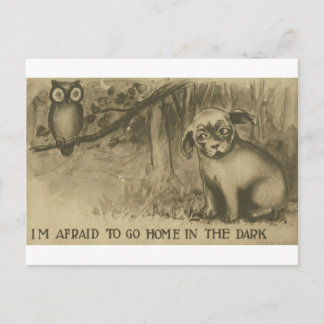 Hund und Eule Postkarte
