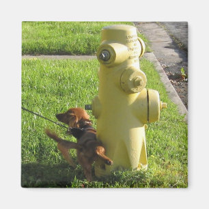 Hund und Hydrant Magnet