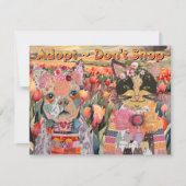 Hund und Katze Adoptier Grußkarte nicht kaufen Einladung (Vorderseite)